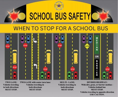 Thousands Ticketed For Passing Stopped School Buses: Police | Odenton-Severn Patch Bus Rules, Hazelwood School, School Bus Driving, School Bus Safety, Bus Safety, Police Humor, School Buses, Driving Tips, Magic School Bus