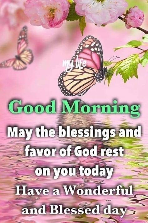 Good Morning Quotes Monday, Monday Good Morning Quotes, Monday Morning Wishes, Favor Of God, Christian Good Morning Quotes, Good Morning Prayer Quotes, Blessed Morning Quotes, Morning Quotes For Friends, Flowers Quotes