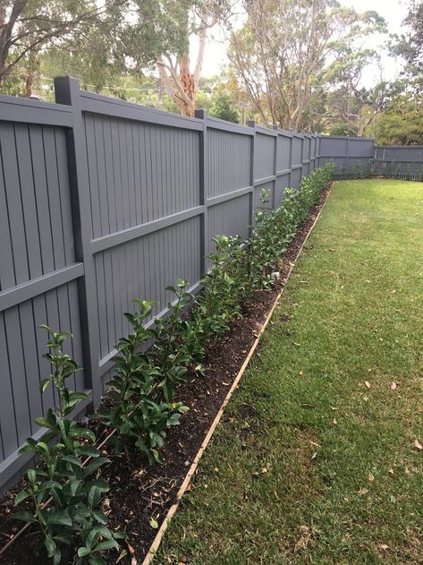 Paint Fence Ideas Backyards, Hamptons Front Garden, Fence Paint Colours, Painted Fence, Timber Fencing, Driveway Landscaping, Fence Landscaping, Backyard Inspiration, Backyard Inspo