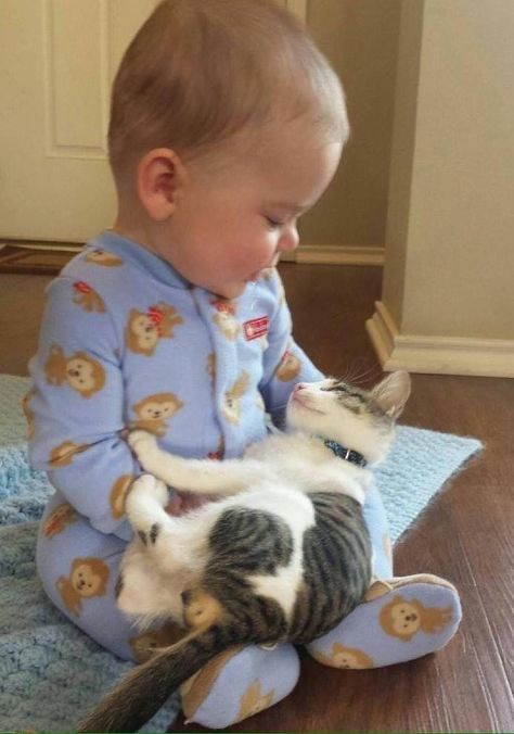 Cats With Babies: Wholesome Collection Of Cats Being Friends With Small Humans (24 Pictures) Jazz Dance, Koci Humor, Step Dance, Söt Katt, Haiwan Peliharaan, Beanie Babies, Sweet Animals, Cute Kittens, On The Floor