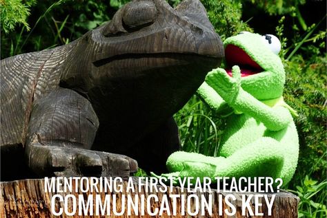 Building communication when you Mentor a First Year Teacher Nonprofit Management, About Twitter, First Year Teachers, Foreign Language Learning, Maria Montessori, Talking Heads, Love Me Quotes, Teacher Tools, Fiction Writing