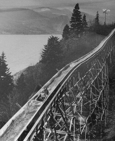 Riding the Broughton lumber flume boat. The Broughton lumber flume dominated the hillside between the towns of Willard and Hood in the State of Washington for over seventy years. Logging Industry, Hood River, Old Trees, Historical Images, Big Tree, Historical Pictures, Vintage Photographs, Abandoned Places, A Train