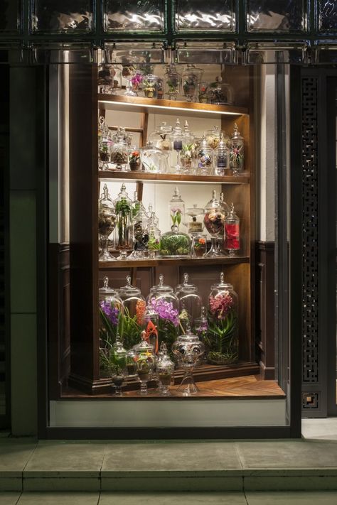 3 Makoto Azuma, Terrarium Shop, Azuma Makoto, Hermes Window, Windows Display, Mini Gardens, Perfume Display, Store Window Displays, Florist Shop