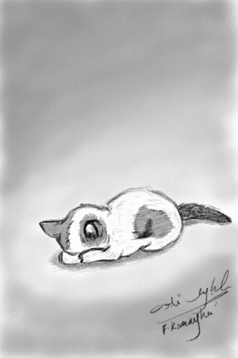 Scared Dog Drawing, Cat Lying Down Drawing, Scared Cat Drawing, Sleepy Cat Drawing, Cat Sleeping Drawing, Cat Drawing Cute, Cat And Dog Tattoo, Cat Sketches, Cat Face Drawing