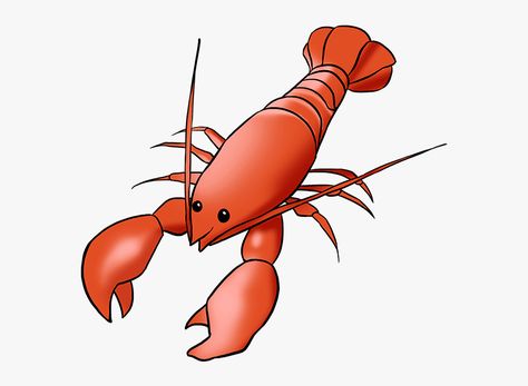 Lobster Drawing, Easy Drawing Tutorial, Picture Templates, Truck Coloring Pages, Drawing Tutorial Easy, Simple Cartoon, Guided Drawing, Creative Drawing, Drawing Videos