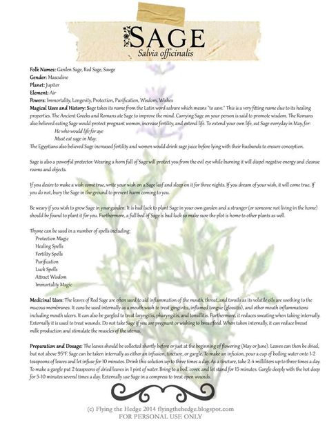 Free BOS Page on the Magical and Medicinal Uses of Sage Air Powers, Garden Sage, Red Sage, Planet Jupiter, Magickal Herbs, Witch Herbs, Magia Das Ervas, Element Air, Plant Magic