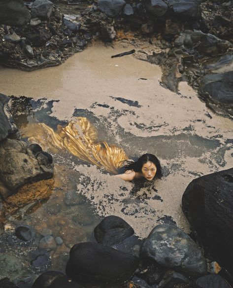 Dreamy, vibrant, and at times unsettling, Zhong Lin’s striking images are inspired by her diverse upbringing - 1854 Photography Peng Chang, No Ordinary Girl, Vogue Taiwan, Mermaid Photography, Art Coquillage, Water Nymphs, Mermaid Aesthetic, Sea Witch, 판타지 아트