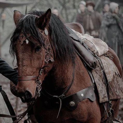 Horses Medieval Aesthetic, Horse Fantasy Aesthetic, Fantasy Adventure Aesthetic, Midevil Aesthetics, Ranger Aesthetic, Medieval Hunting, Scotland Aesthetic, Medieval Horse, Horse Riding Aesthetic