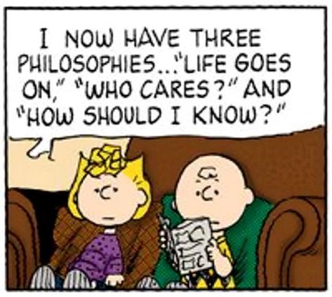 with her Peanuts Fanart, Charlie Brown Cartoon, Brown Cartoon, Woodstock Snoopy, Sally Brown, Snoopy Comics, Snoopy Funny, Funny Comic Strips, Snoopy Quotes