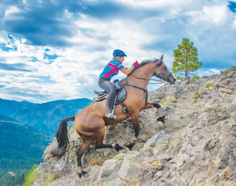 Learn endurance riders secrets to stay comfortable while spending hours in the saddle. Endurance Riding, Horse Riding Outfit, Dressage Horses, Horses And Dogs, Equestrian Sports, Horse Blankets, Horse Life, Horse Training, Trail Riding