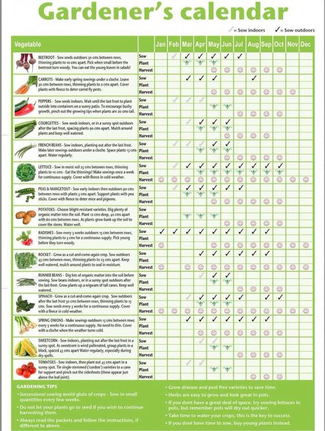 Planting calendar UK includes harvesting #gardeningcalendar Allotment Planner, Gardening For Dummies, Planting Calendar, Veg Patch, نباتات منزلية, Garden Calendar, Permaculture Gardening, Veg Garden, Have Inspiration