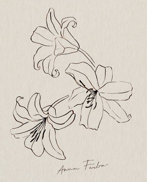 Sketch Book Flower, Sketch Plants, Botanical Sketches, Botanical Sketchbook, Illustration Botanical, Drawing Studies, 패턴 배경화면, Seni Cat Air, Plant Drawing