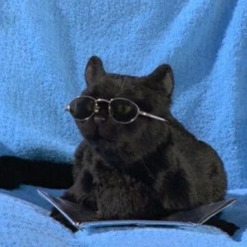 Salem Saberhagen, Salem Cat, Gatos Cool, Sabrina Spellman, Archie Comics, Cat Aesthetic, Blue Cats, Blue Aesthetic, Cat Lady