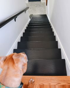 Painted Wood Stairs, Black Painted Stairs, Black And White Stairs, Black Staircase, Painted Staircases, Black Stairs, White Stairs, Yellow Brick Home, Stairs Makeover