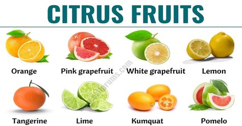 Citrus Fruits! In this lesson, you will learn a list of citrus fruits in English with ESL picture and example sentences to help you expand your vocabulary. Citrus Fruits List, Root Vegetables List, Citrus Fruit List, Yellow Fruits And Vegetables, Vegetables In English, Dragon Fruit Varieties, Yellow Dragon Fruit, Citric Fruits, Root Vegetables Recipes