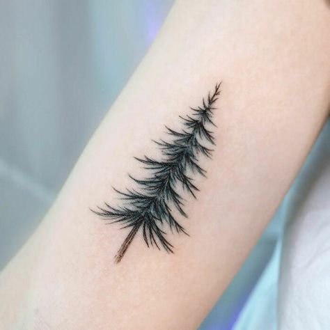 Pine Tree Tattoo Fur Tree Tattoo, Pine Tree Neck Tattoo, Pine Tree Tattoo Women, Pine Tree Finger Tattoo, Pine Tree Tattoos For Women, Small Pine Tree Tattoo, Spruce Tree Tattoo, Tree Tattoo Green, Small Tree Tattoo