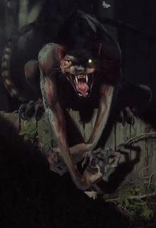 Image - Werecat.gif | Gwent Wiki | FANDOM powered by Wikia