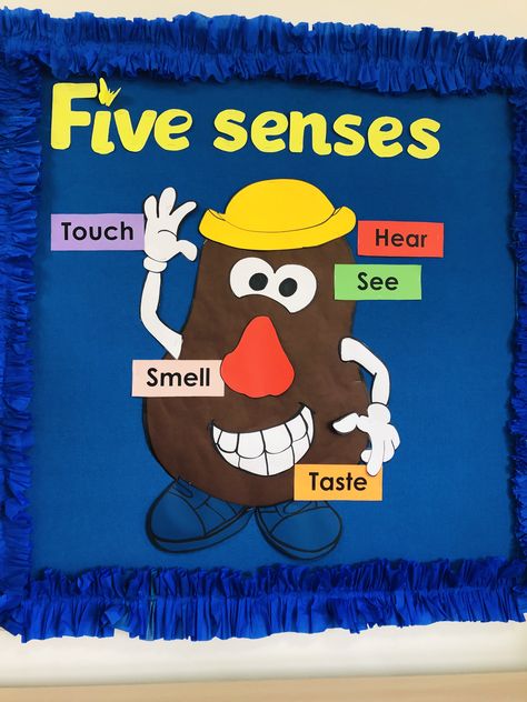 Five Senses Board, Five Senses Bulletin Board, Class Board Decoration, Senses Preschool, School Kids Crafts, School Board Decoration, Kindergarten Classroom Decor, Preschool Bulletin, English Activities For Kids