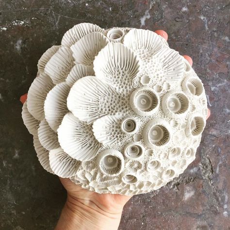 Countless Hand-Scored Notches Comprise Aquatic Sculptures by Lisa Stevens | Colossal Ocean Sculpture, Coral Ocean, Coral Sculpture, Ceramic Art Sculpture, Ceramic Texture, Sculptures Céramiques, Clay Texture, Colossal Art, Ceramics Projects