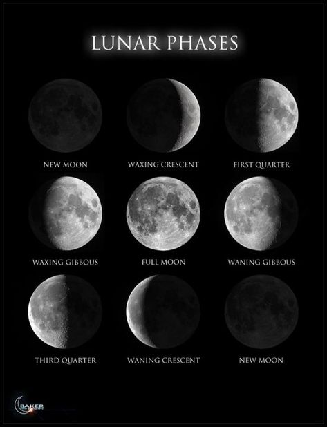 Phases of the moon, posted to EarthSky Facebook by our friend Jacob Baker. Chinese New Year Dates, Lunisolar Calendar, September Equinox, June Solstice, March Equinox, Chinese Lunar Calendar, Chinese Calendar, Closer To The Sun, Lunar Phase