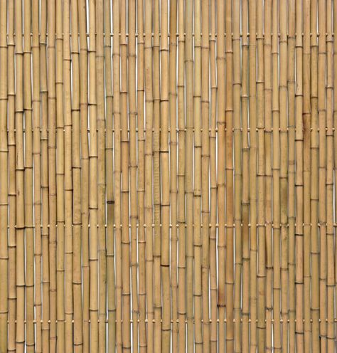 Bamboo Privacy Fence, Bamboo Species, Bamboo Decking, Bamboo Privacy, Bamboo Room Divider, Bamboo Screening, Bamboo Texture, Bamboo Panels, Bamboo Poles