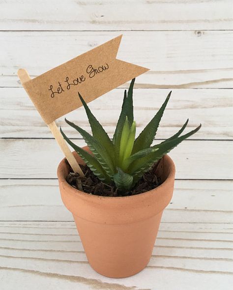 Let Love Grow Wedding Tags, Baby Shower Favor, Succulent Wedding Plant Flags, Bridal Shower Favors - Watch Me Grow Tags, Plant Favors, Succulent Wedding Table, Succulent Garden Outdoor, Succulent Party Favors, Shower Photos, Succulent Display, Wedding Plants, Blue Succulents