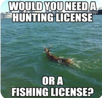 Hunting Meme, Funny Hunting Pics, Hunting Quotes Funny, Hunting Jokes, Hunting Quotes, Hunting Humor, Country Jokes, Country Girl Quotes, Country Memes