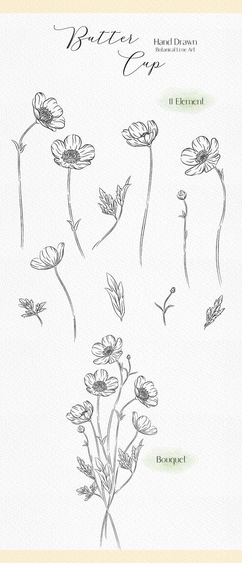 Meadow Buttercup Tattoo, Buttercups Flower Tattoo, Buttercups Flowers Drawing, Individual Flower Drawing, Buttercup Flowers Tattoo, Buttercup Drawing Flower, Buttercup Flower Tattoos, Small Buttercup Flower Tattoo, How To Draw Buttercup