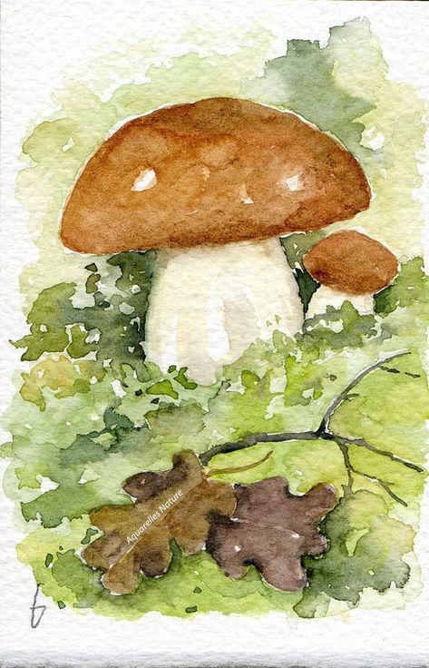 Cottage Illustration, Fungi Art, Watercolor Woodland, Mushroom Paint, Autumn Watercolor, Mushroom Drawing, Small Canvas Paintings, Watercolor Projects, Fall Watercolor