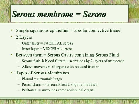 ... 3. Serous membrane ... Body Cavities, Physiology Notes, Serous Membrane, Stratified Squamous Epithelium, Loose Connective Tissue, Med Notes, Thoracic Duct, Thoracic Cavity, Basement Membrane