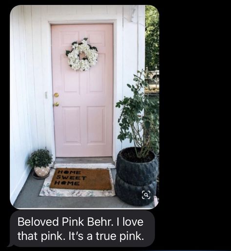 Beloved Pink Behr Paint, Behr Beloved Pink, Behr Paint, Rose Water, Pantry, Paint Colors, Kids Room, Sweet Home, New Homes