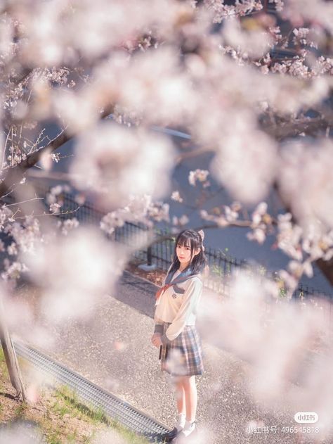 Calming Photos, Cherry Blossom Pictures, Japanese Wallpaper Iphone, Human Pictures, Spring Photoshoot, Sakura Tree, Japan Photo, Japan Girl, Cinematic Photography