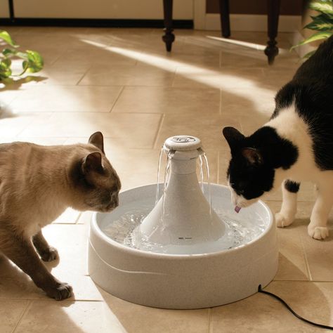 Cat Supplies, Pet Fountain, Cat Fountain, Cat Water Fountain, Drinking Fountain, Pet Water Fountain, Cat Drinking, Water Dog, Cat Furniture