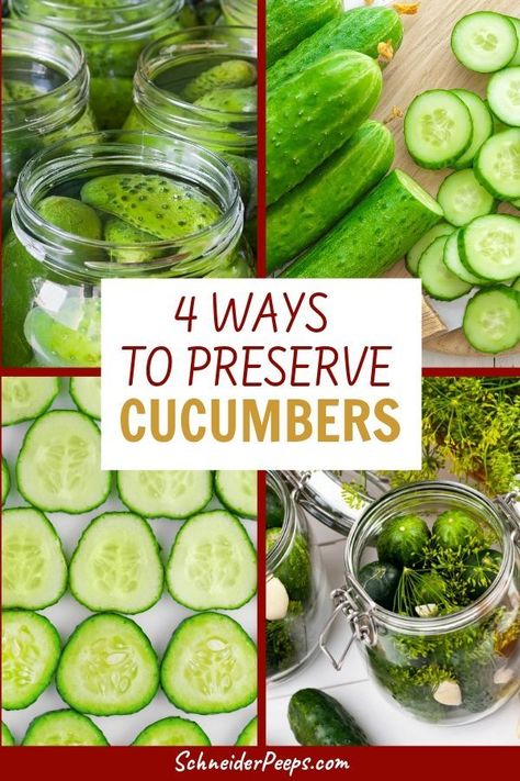 Preserving Lemon Cucumbers, Over Ripe Cucumbers What To Do With, Things To Do With Extra Cucumbers, How To Can Cucumbers, What Can I Do With All My Cucumbers, Cucumber Recipes For Canning, Preserve Cucumbers Without Pickling, Ways To Use Up Cucumbers, Canning Recipes With Cucumbers