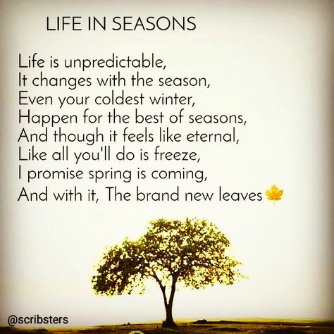 Seasons of Life Poems About The Four Seasons, A New Season Quotes Life, Entering A New Season Quotes, Busy Season Quotes, Winning Season Quotes, Seasons Of Life Quotes, Seasons Quotes, Sunny Day Quotes, Success Poem