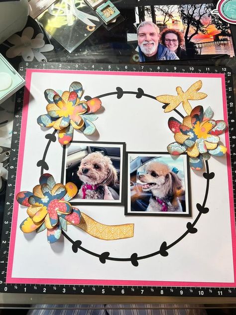 Karen P's Kiwi Lane | Two hybrid kiwi lane scrapbook layouts | Facebook Kiwi Lane Layouts, Dog Scrapbook Layouts, Kiwi Lane Designs, Dog Scrapbook, Scrapbook Challenges, Kiwi Lane, Single Photo, Photo Scrapbook, Scrapbook Layout