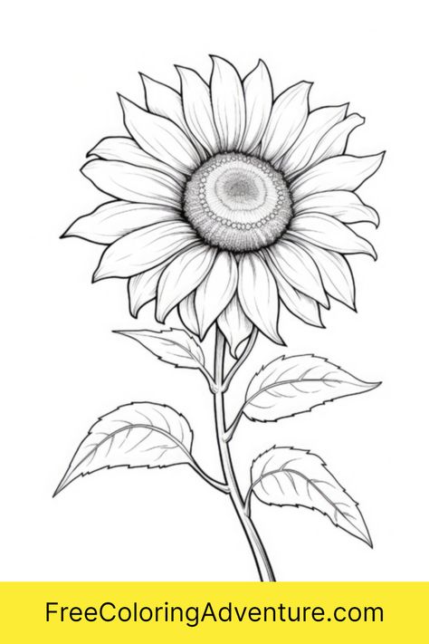 Discover the joy of coloring with our Free Printable Blossom Your Creativity - Sunflower Coloring Page for adults and children alike! This beautiful, easy-to-color design is a perfect way to relax, de-stress, and unwind. Download now and let your creativity blossom! Sunflower Coloring Page, Sunflower Coloring, Sunflower Coloring Pages, Coloring Page For Adults, Flower Printable, Ways To Relax, Printable Coloring Pages, Printable Coloring, Adult Coloring Pages