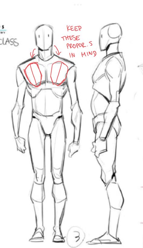 Sketching Body Anatomy, Male Body Front View Drawing, Man Anatomy Reference Drawing, How To Draw Males Anatomy, Male Anatomy Reference Front View, Men Drawing Reference Anatomy, Masculine Body Reference Drawing, Male Lower Body Reference, Male Build Reference