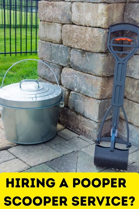 Pooper Scooper Service: What You Need to Know Before Hiring One Pooper Scooper Ideas, Pet Waste Station, Dog Pooper Scooper, Pooper Scooper, How Do You Clean, Dogs Pooping, Dog Runs, Garbage Can, Dog Stuff