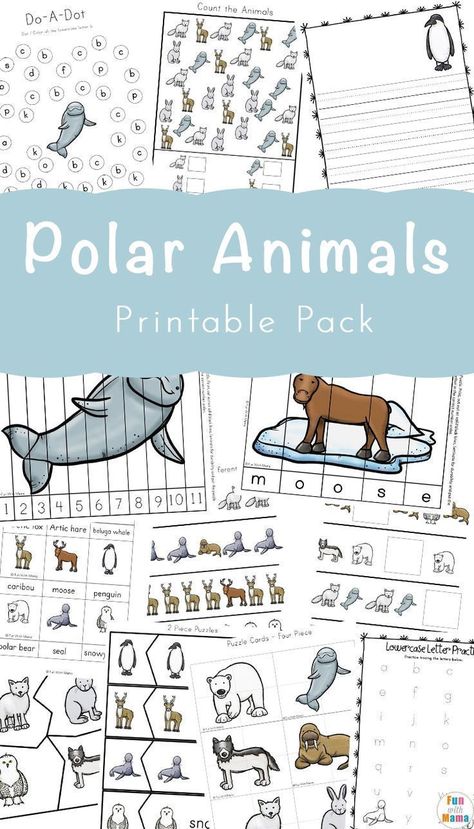 Polar Bear Facts Preschool, Antarctica Activities For Kids, Polar Animals Activities, Animals Activities For Kids, Polar Habitat, Arctic Animals Printables, Arctic Animals Preschool Activities, Antarctica Activities, Polar Animals Preschool