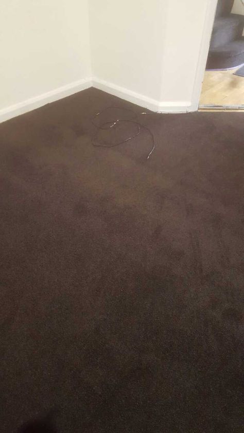 Dark brown carpet in a bedroom Dark Brown Carpet Living Room, Brown Carpet Bedroom, Dark Brown Carpet, Dark Brown Floor, Carpet Replacement, Dark Carpet, Textured Carpet, Brown Floors, Brown Carpet