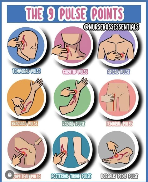 Pulse Nursing Notes, Pulse Points Nursing, Paramedic Tips, Emt Notes, Apical Pulse, Emt Basic, Nursing School Studying Cheat Sheets, Emt Study, Nursing School Inspiration