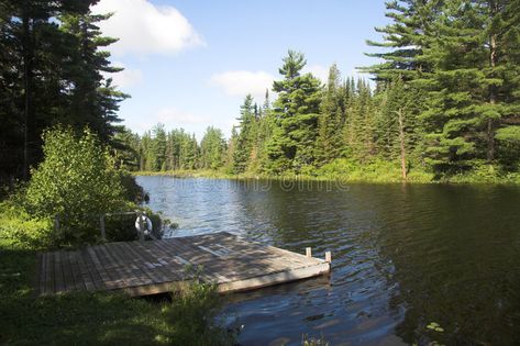 Dock On The Lake. Small dock on lake #Sponsored , #AD, #AD, #Lake, #dock, #Small, #Dock Lake With Dock, Backyard Trees Landscaping, Swamp Landscape, Dock On Lake, Exterior Layout, Lake Scenes, Small Dock, Canada Lake, Trees Landscaping