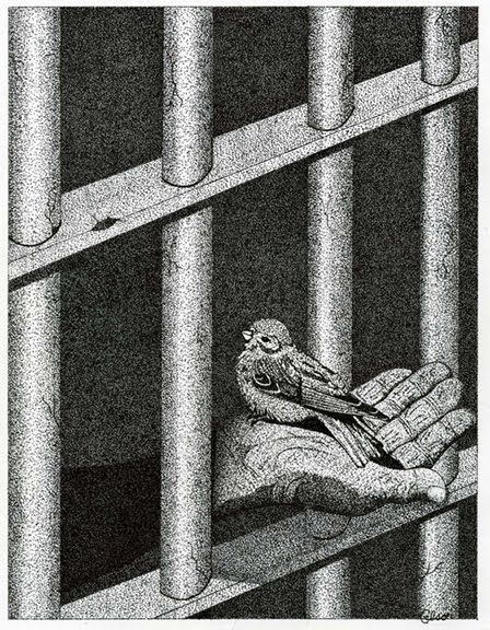 We think a caged bird sings..when indeed it crys Prison Drawings, Pablo Picasso Art, Prison Art, Jail Cell, Picasso Art, Escape Reality, Art Theme, Chicano Art, Gcse Art