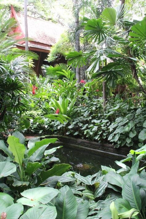 A pond in the rear garden is surrounded by lush foliage Small Tropical Garden Ideas, Thai Garden, Tropical Garden Plants, Small Tropical Gardens, Bali Garden, Balinese Garden, Tropical Garden Ideas, Garden Tropical, Tropical Garden Design