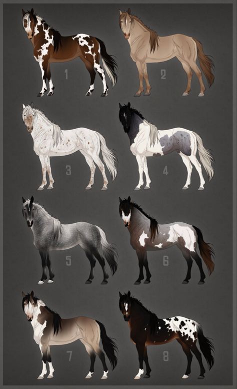 Horse Art Ideas, Horse Animation, Horse Markings, Horse Coat Colors, Horse Art Drawing, Cute Horse Pictures, Horse Sketch, Fantasy Horses, Horse Artwork