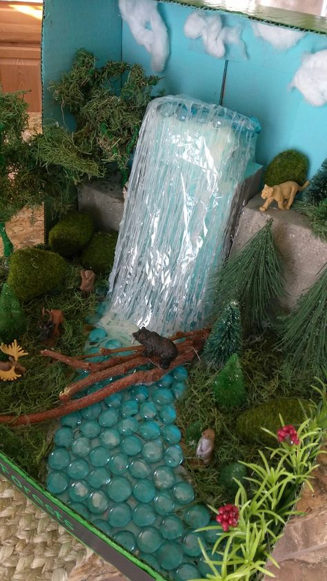 Woodland Forest Diorama, Otter Diorama, Rainforest Biome Shoebox Project, Rain Forest Diorama, Ecosystems Diorama, Rainforest Diorama, Shoe Box Diorama, Beach Diorama, Habitat Diorama