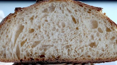 Low Carb Artisan Bread Recipes, Best Bread For Diabetics To Eat, Keto Sourdough Bread Starter, Keto Sourdough Starter Recipe, Almond Flour Sourdough Bread, Keto Sourdough Recipes, Keto Artisan Bread, Keto Sourdough Starter, Low Carb Sourdough Bread