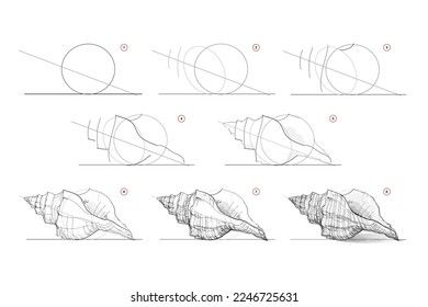 Shells Drawing Reference, Seashell Pencil Drawing, Shell Observational Drawing, How To Draw Shells Step By Step, Shell Drawing Realistic, Objects Pencil Drawing, How To Draw A Conch Shell, Seashell Drawing Step By Step, Drawings Of Seashells