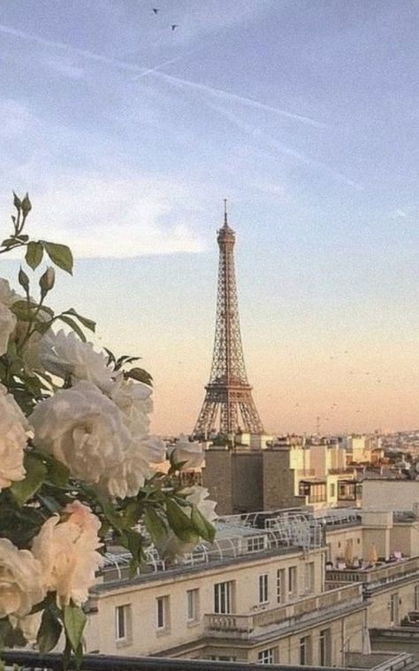 Paris Wallpaper, Paris Pictures, Paris Aesthetic, Pretty Landscapes, Where To Travel, Destination Voyage, Dog Wallpaper, Dream Travel Destinations, City Aesthetic